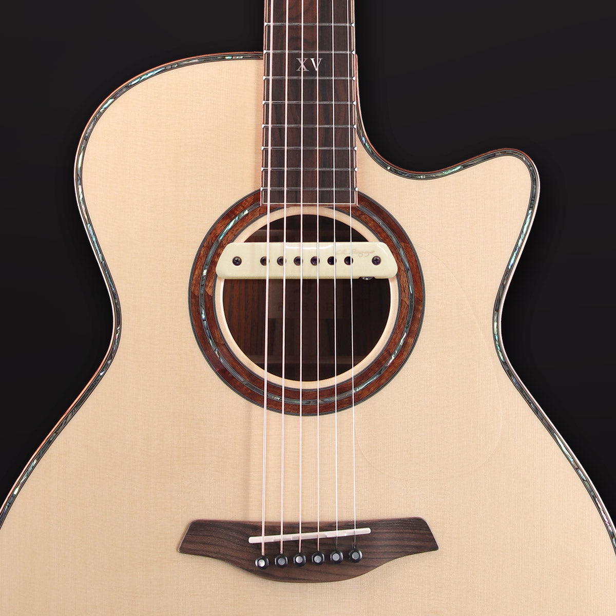 L.R.Baggs on Red Deluxe Gc-Lc