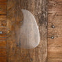 Pickguard Clear - Furch