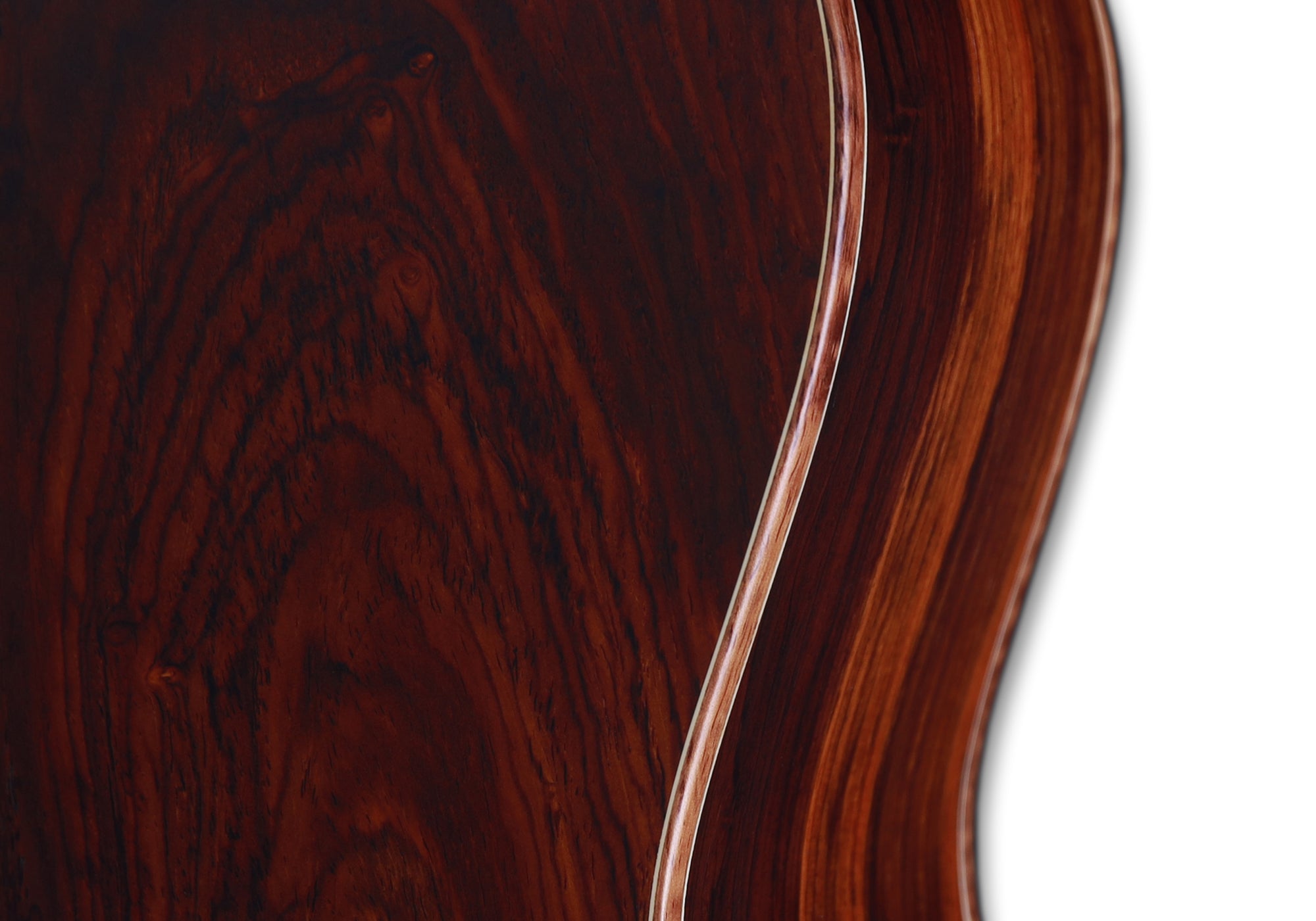 Little Jane LJ Exclusive-EC + Colored Gigbags