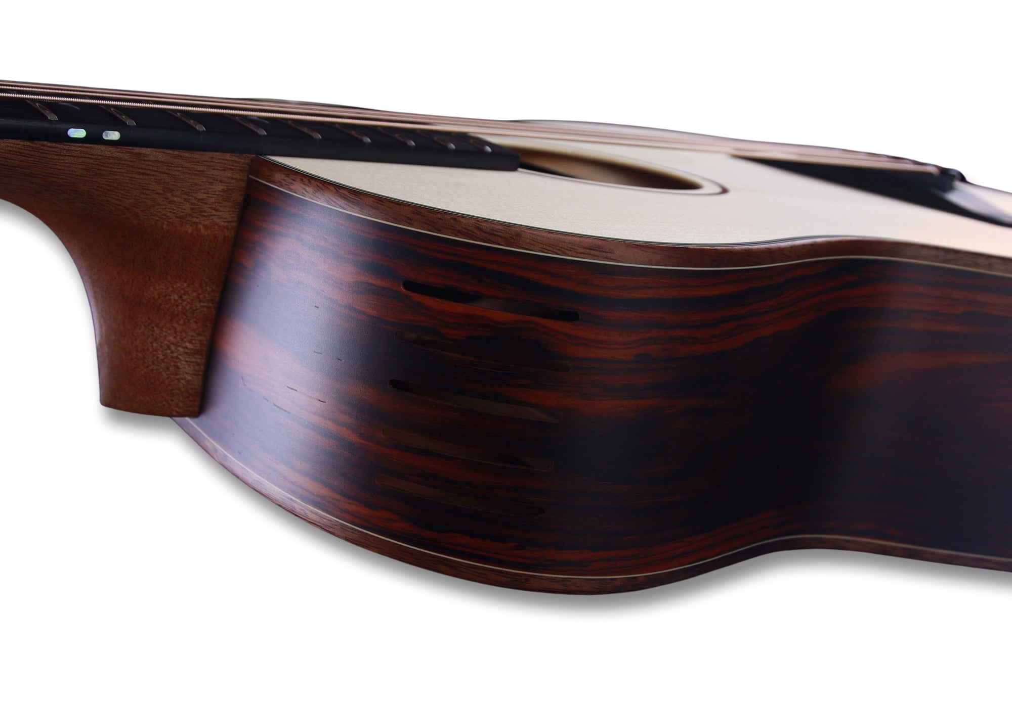 Little Jane LJ Exclusive-EC + Colored Gigbags