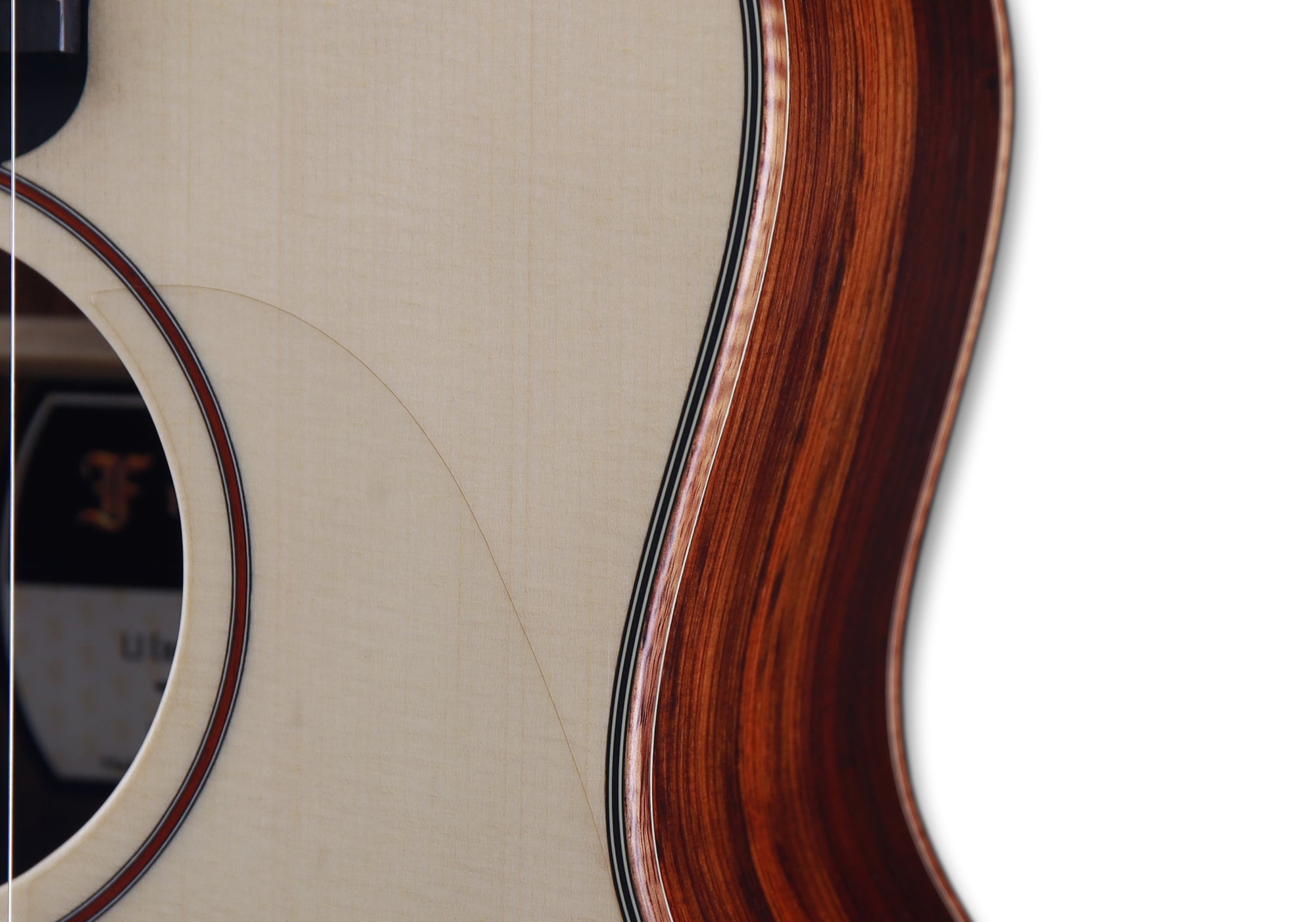 Little Jane LJ Exclusive-EC + Colored Gigbags